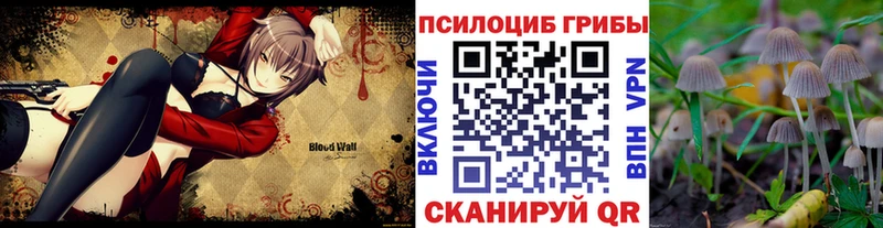 Галлюциногенные грибы Cubensis  Купить  Курильск 
